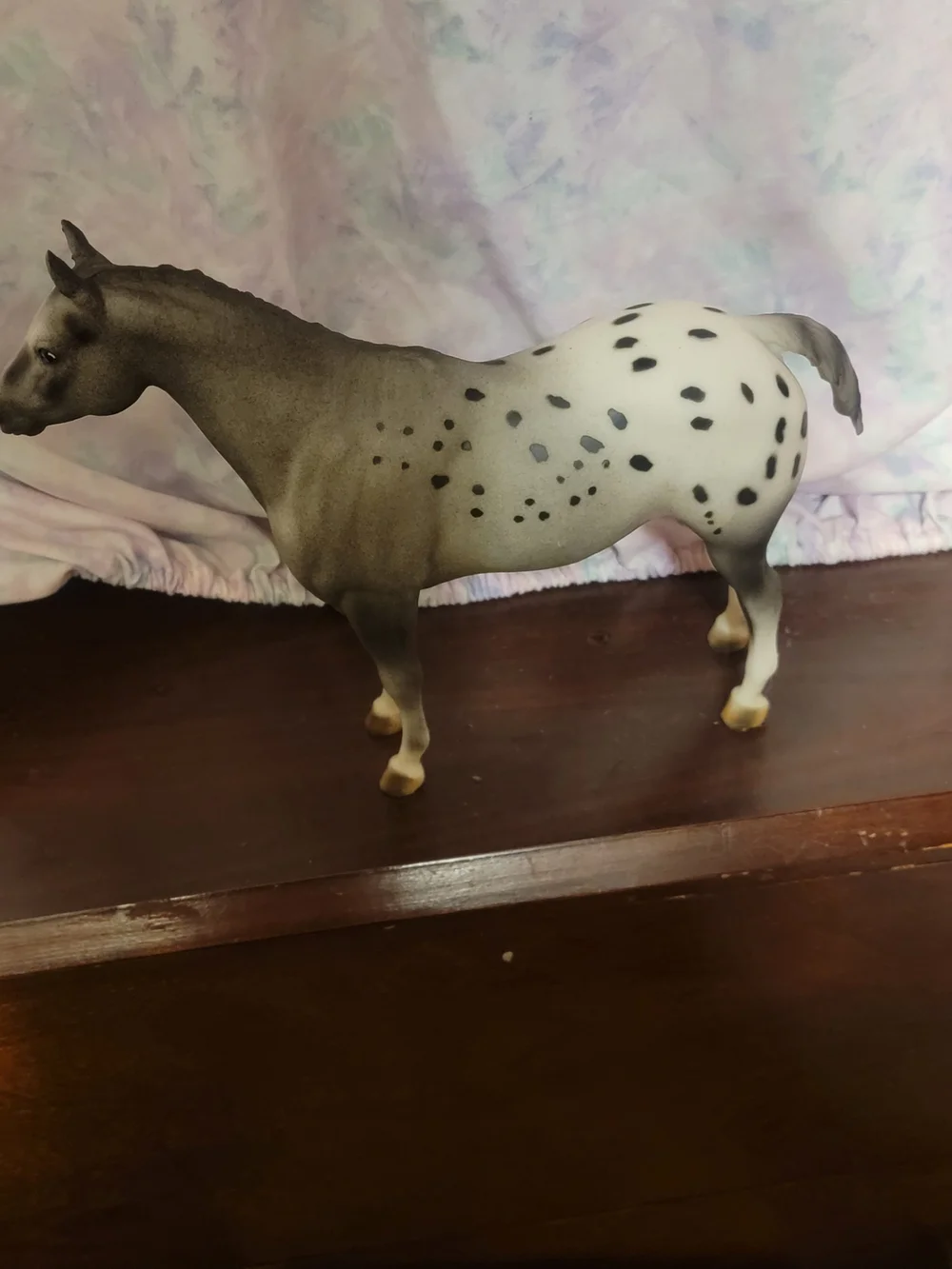 Breyer Diamondot Bucaneer